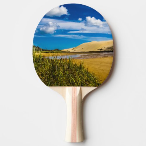 Quicksand stream near 90_Mile Beach New Zealand Ping Pong Paddle