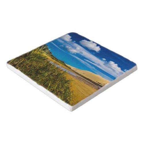 Quicksand stream near 90_Mile Beach New Zealand Trivet