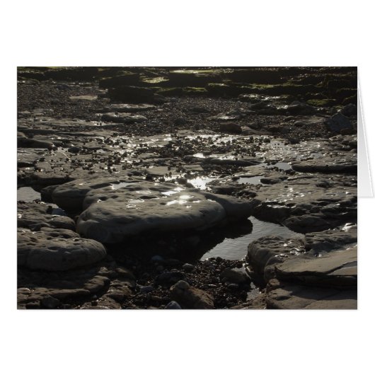 Quicksilver (Front Horizontal)