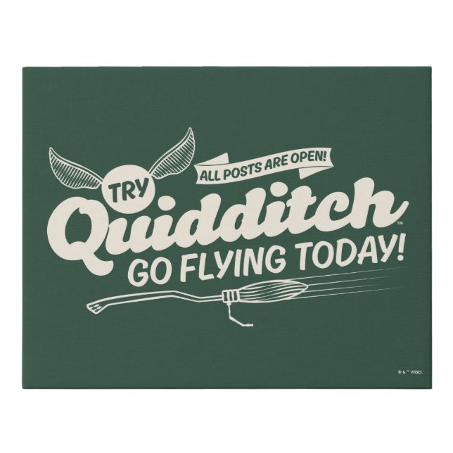 QUIDDITCH™ Recruitment Poster Faux Canvas Print (Front)