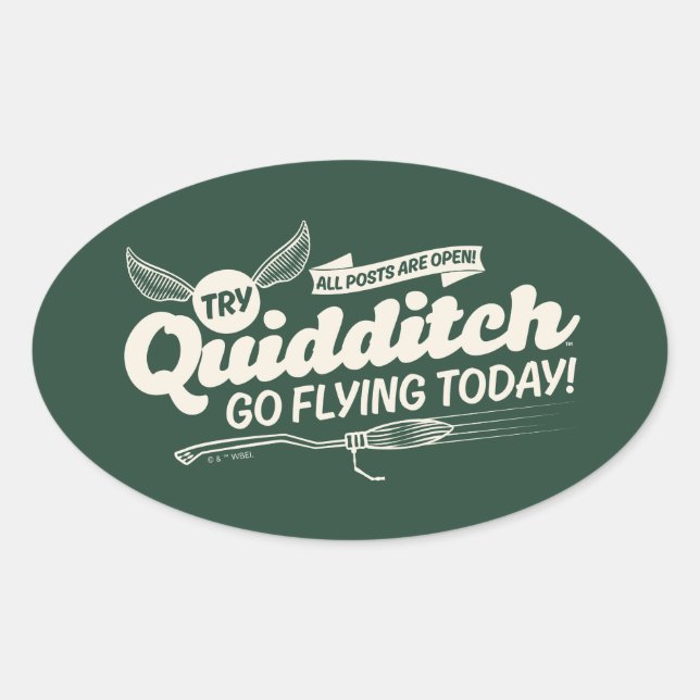 QUIDDITCH™ Recruitment Poster Oval Sticker (Front)