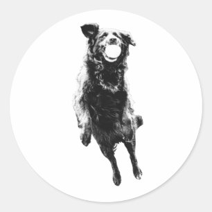 Quiet ball carry classic round sticker