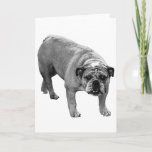 Quiet Cheer Bulldog Card
