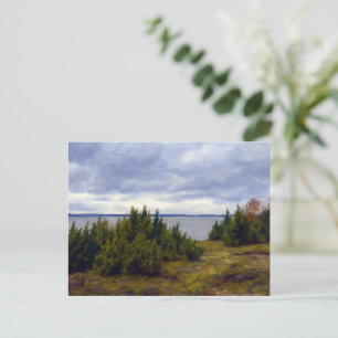 Quiet Coast of Vormsi Postcard