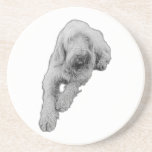 Quiet Companion Coaster