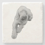 Quiet Companion Stone Coaster