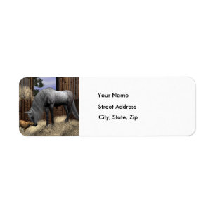 Quiet Companions - Return Address Labels