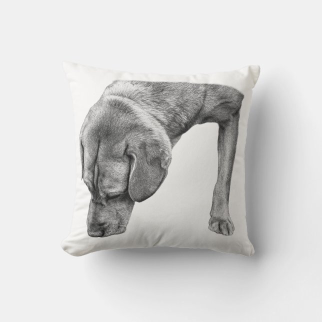Quiet Corner, Nose Down Throw Pillow (Front)