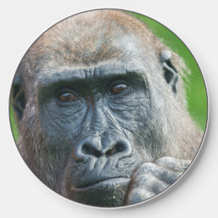 Quiet Curiosity – Young Gorilla Portrait Wireless Charger