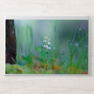 Quiet forest HP laptop skin