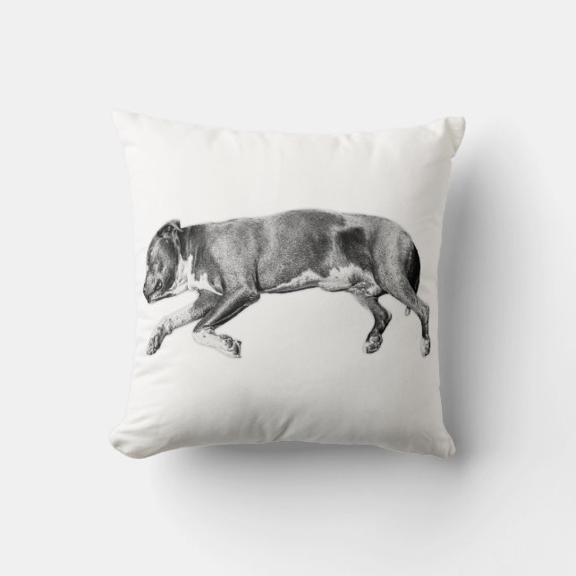 Quiet Grace – Slumbering Hound Portrait Throw Pillow (Front)