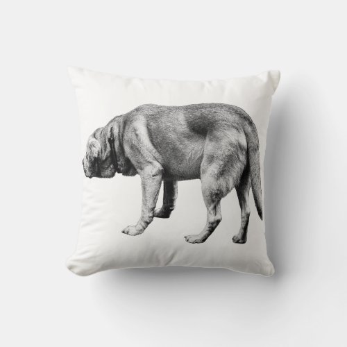 Quiet Guardian Crossing the Rug Throw Pillow