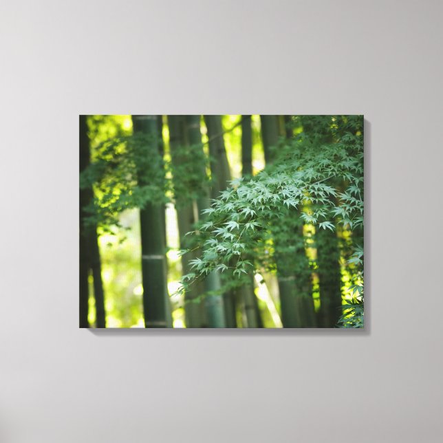 Quiet Japanese Bamboo Forest Canvas Print (Front)