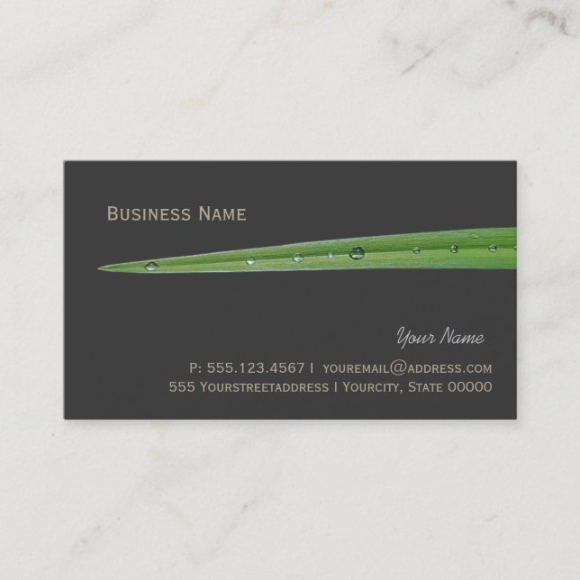 Quiet Landscaper Blade of Grass Nature Business Card (Front)