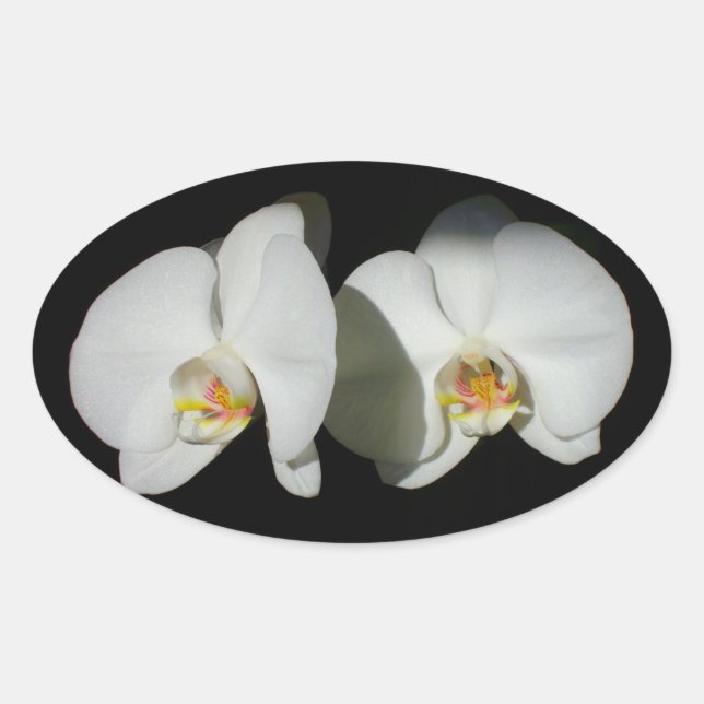 Quiet Moments Oval Sticker (Front)