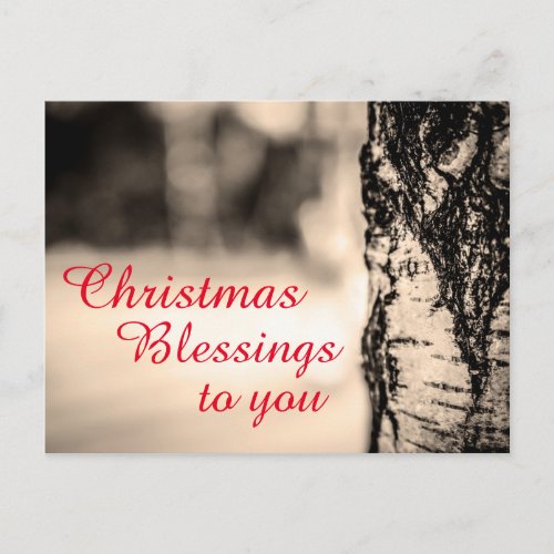 Quiet Peace Rustic Birch Tree Christmas Blessings Holiday Postcard