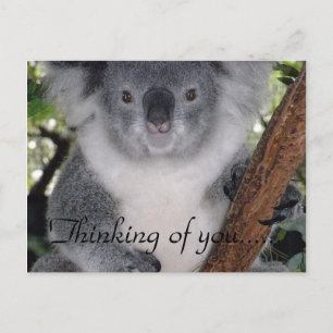 QUIET PLACE POSTCARD
