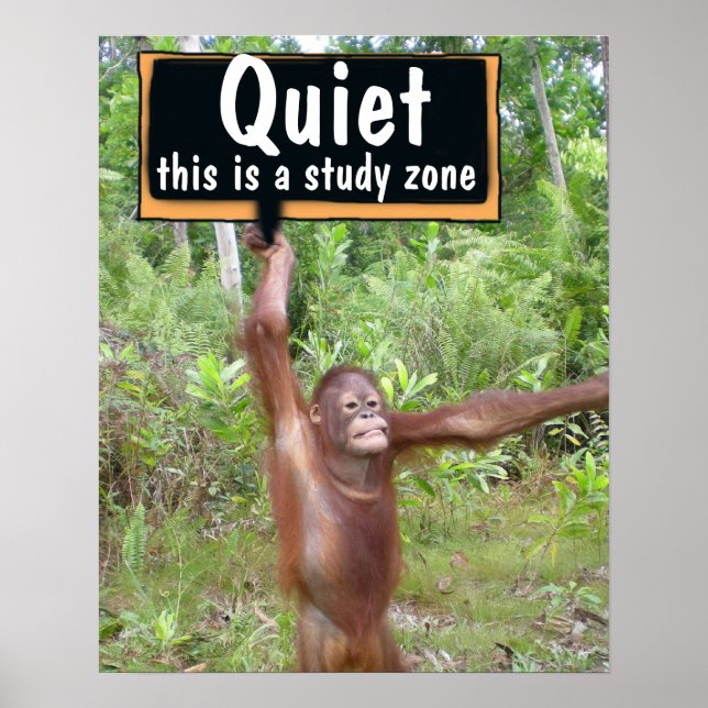 Quiet Please Classroom Poster (Front)