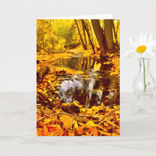 Quiet Reflection Card
