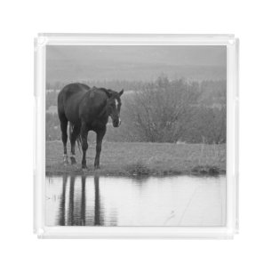 Quiet Reflectionz ~ Horse SquareTray Acrylic Tray