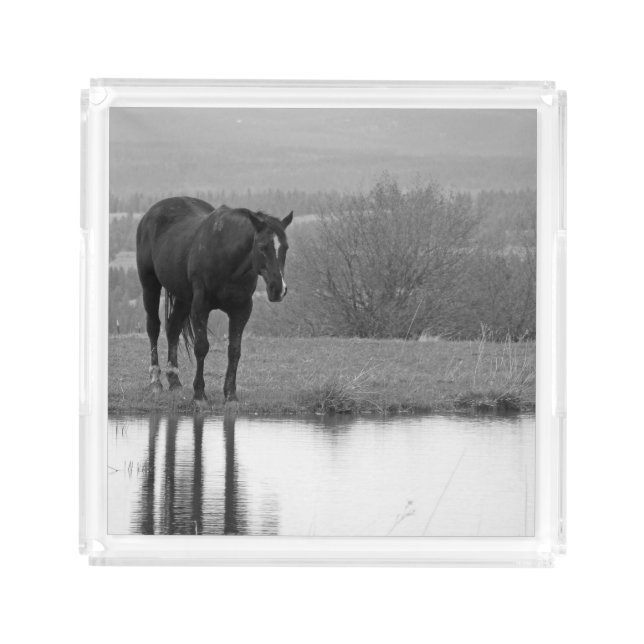 Quiet Reflectionz ~ Horse SquareTray Acrylic Tray (Front)