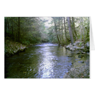 Quiet River Cards