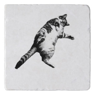 Quiet Shade: Resting Tabby Trivet