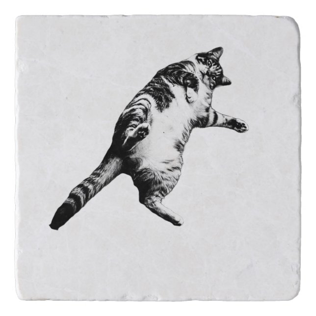 Quiet Shade: Resting Tabby Trivet (Front)