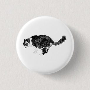 Quiet Spark, Pet Detail Button