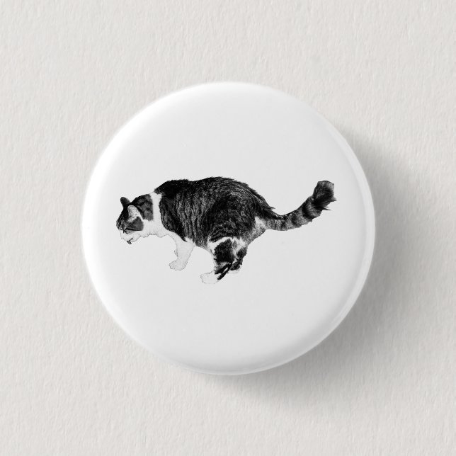 Quiet Spark, Pet Detail Button (Front)