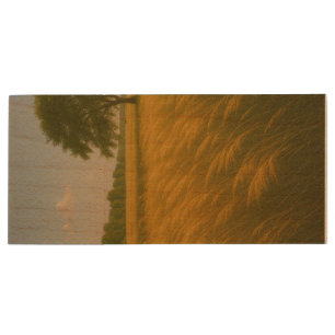 Quiet stream wood flash drive