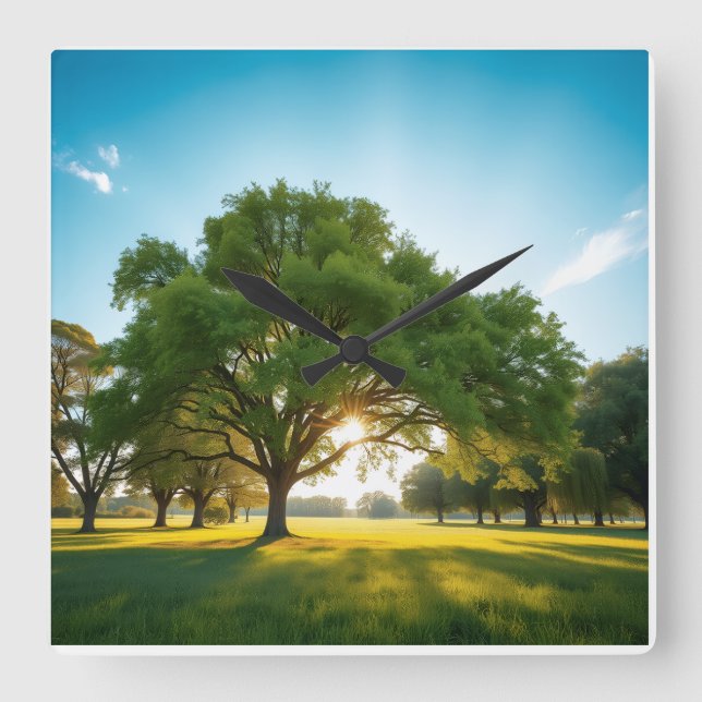 Quiet Time With a Big Tree  Square Wall Clock (Front)