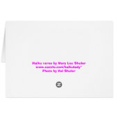 Quiet Time With God Cards (Back Horizontal)
