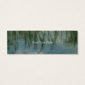 Quiet Waters | (Back)