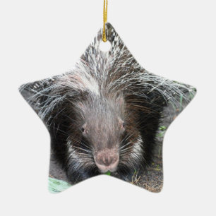 Quilled Porcupine Ornament