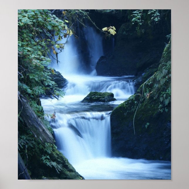 Quinalt Waterfall Canvas Print (Front)