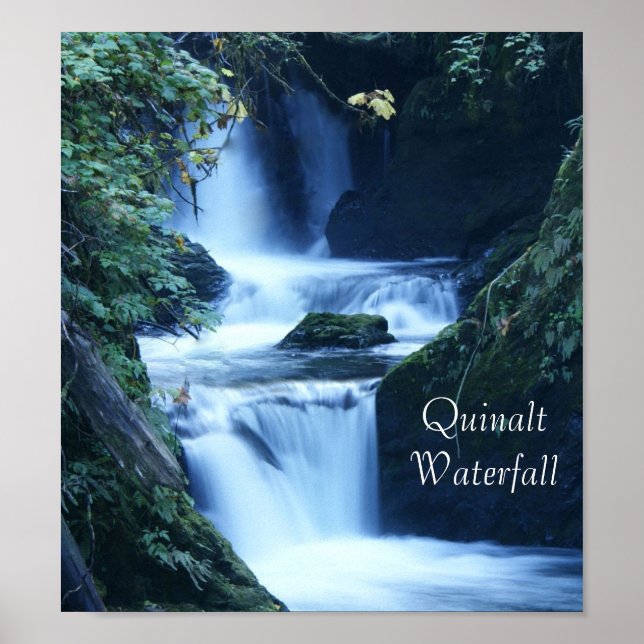 Quinalt Waterfall Poster (Front)