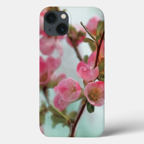 Quince Blossoms iPhone 13 Case