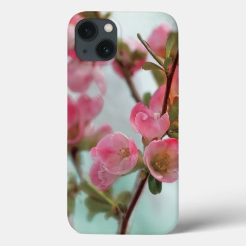 Quince Blossoms iPhone 13 Case