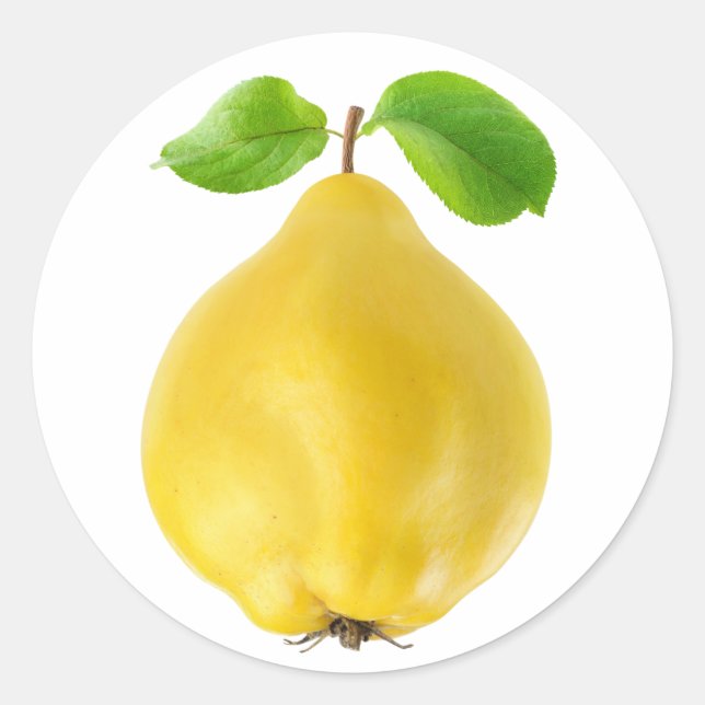 Quince fruit classic round sticker (Front)