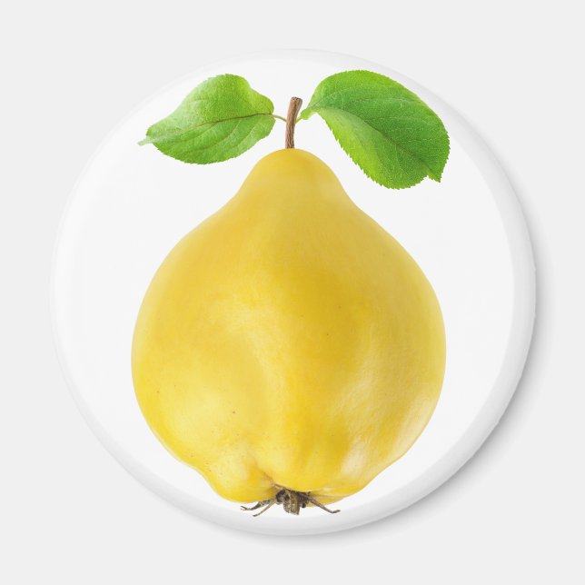 Quince fruit magnet (Front)