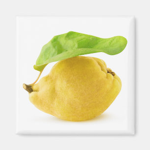 Quince fruit magnet
