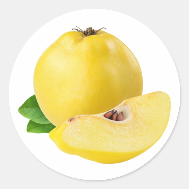 Quince fruits classic round sticker (Front)