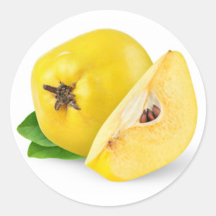 Quince fruits classic round sticker