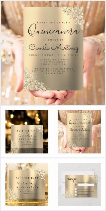 Quinceanera Modern Elegant Collection