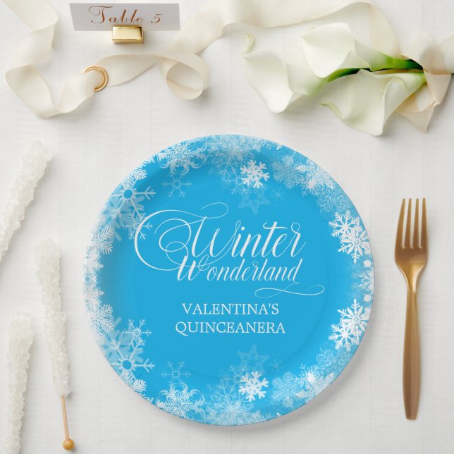 Quinceanera Winter Wonderland Snowflake Blue Paper Plates (Wedding)