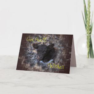 Quincy Pinzgauer Calf 5896- make any occasion Card