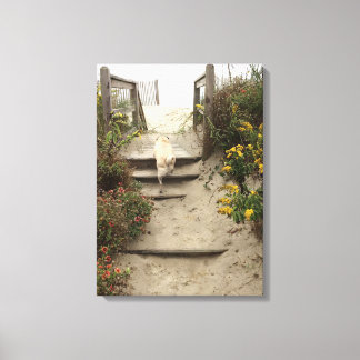 Quinn at the Beach Canvas Print