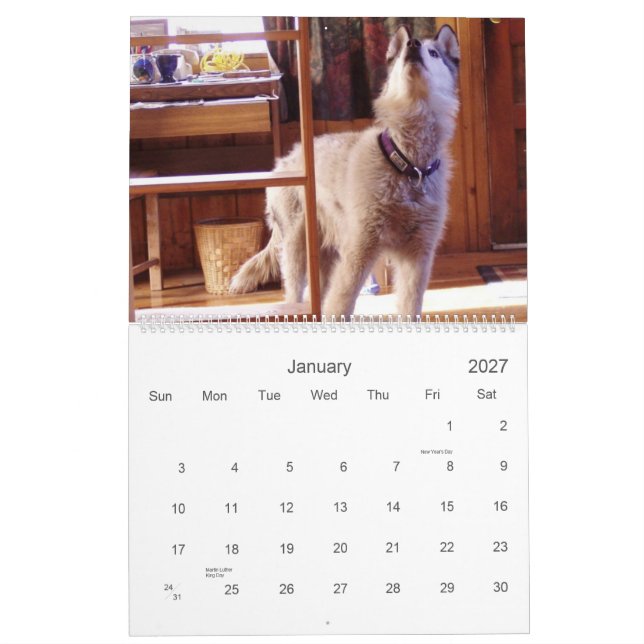 Quinn's Calendar 2007 (Jan 2027)