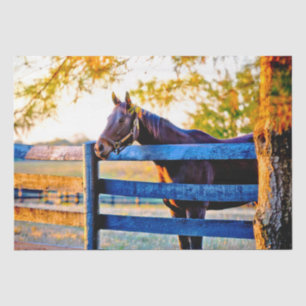 Quintessential Kentucky - Horse In Field Tissue P Tissue Paper